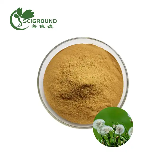 Dandelion Extract Powder